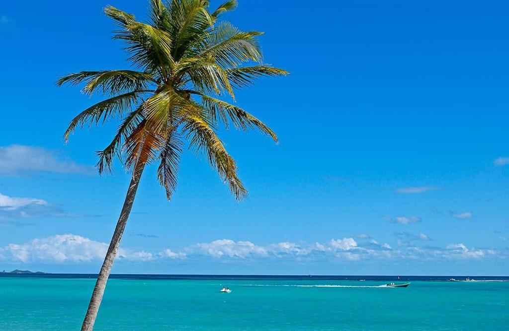 Apartamento Keshy Island Colibri Baillif Exterior foto